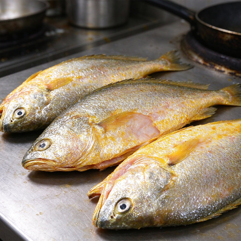 Fresh Whole Yellow Croaker Fish