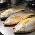 Fresh Whole Yellow Croaker Fish