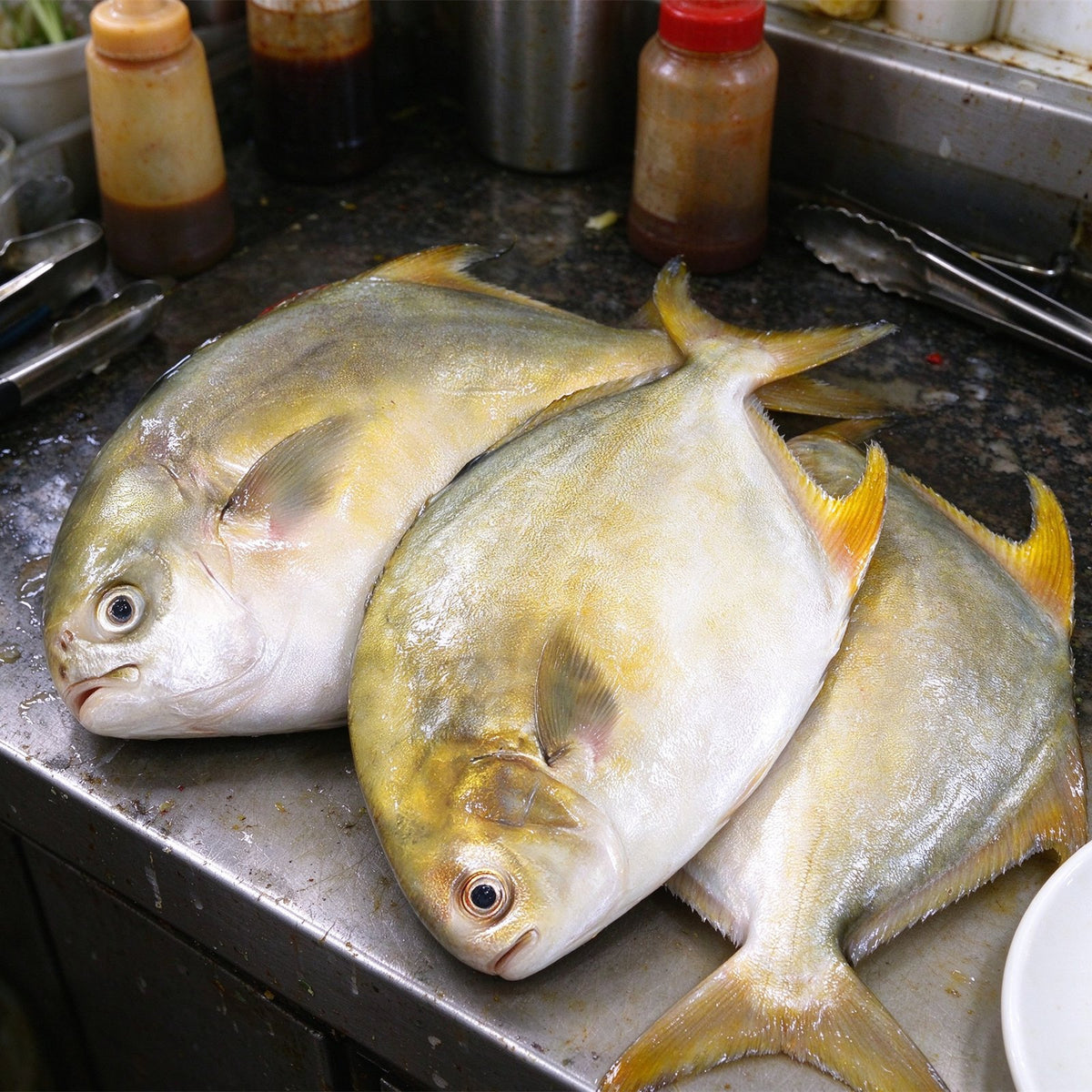 Fresh Whole Golden Pomfret Fish
